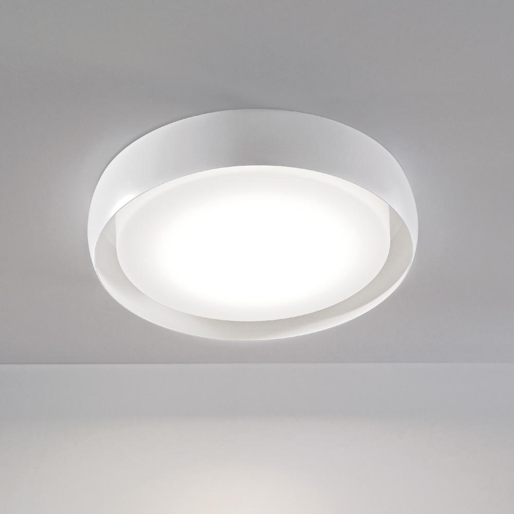 Medium  19.7 inches  White  Medium based