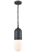 DVI DVP13775BK-OP - CAPSULE OD 1 LT PENDANT
