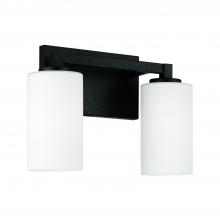 Capital Lighting 119821BI-545 - 2-Light Vanity