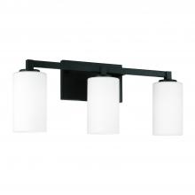 Capital Lighting 119831BI-545 - 3-Light Vanity