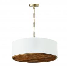 Capital Lighting 347441MA - 4-Light Pendant
