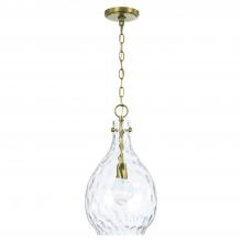 Capital Lighting 349012AD - 1-Light Pendant