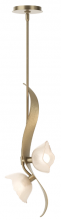 Hubbardton Forge 181070-SKT-MULT-84-FD0791 - Mika 2-Light Pendant