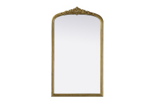 Elegant Lighting MR7F2442AB - Naomi Vintage Resin Mirror 24x42 in Antique Brass