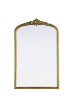 Elegant Lighting MR7F2742AB - Naomi Vintage Resin Mirror 27x42 in Antique Brass